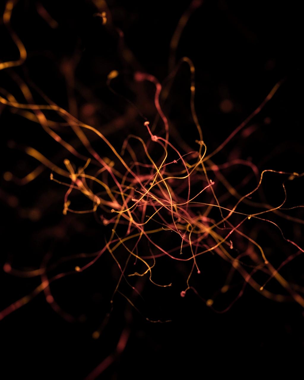 Abstract tangled filaments of light drifting apart, suggesting disconnected systems